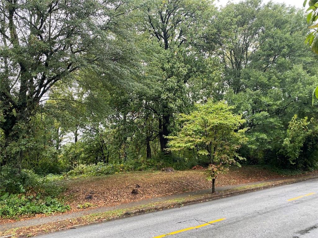 a view of a tree with a tree