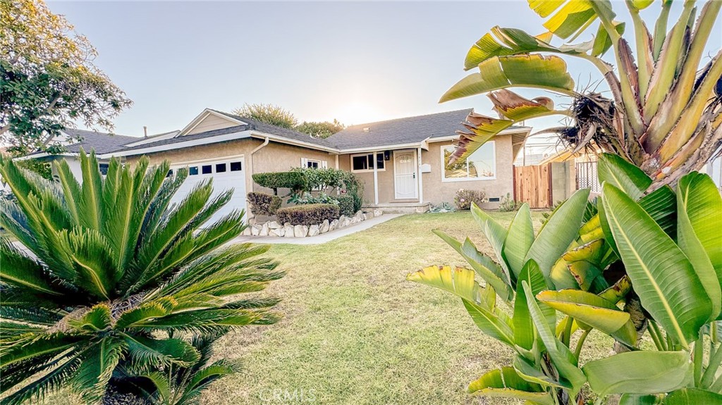 a view of a yard in front of house