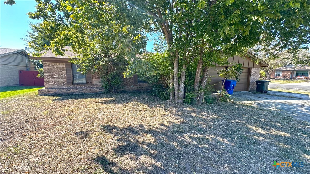 a view of a yard with a house and a large tree