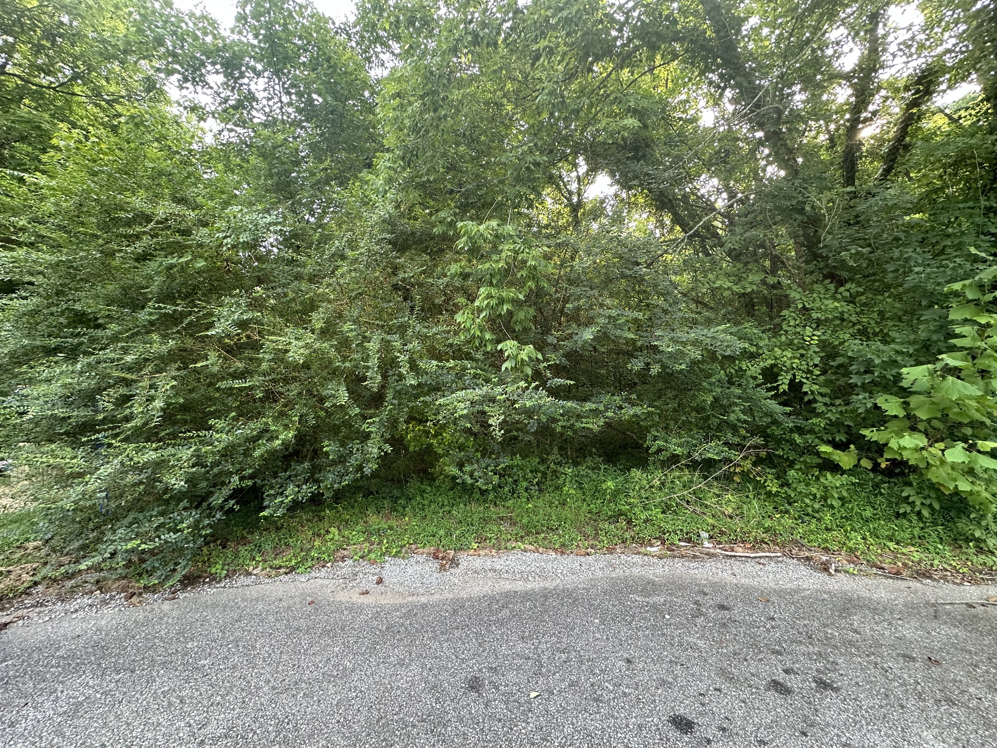 a view of a dirt road with a trees