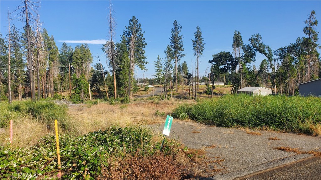 a view of a yard with plants and trees