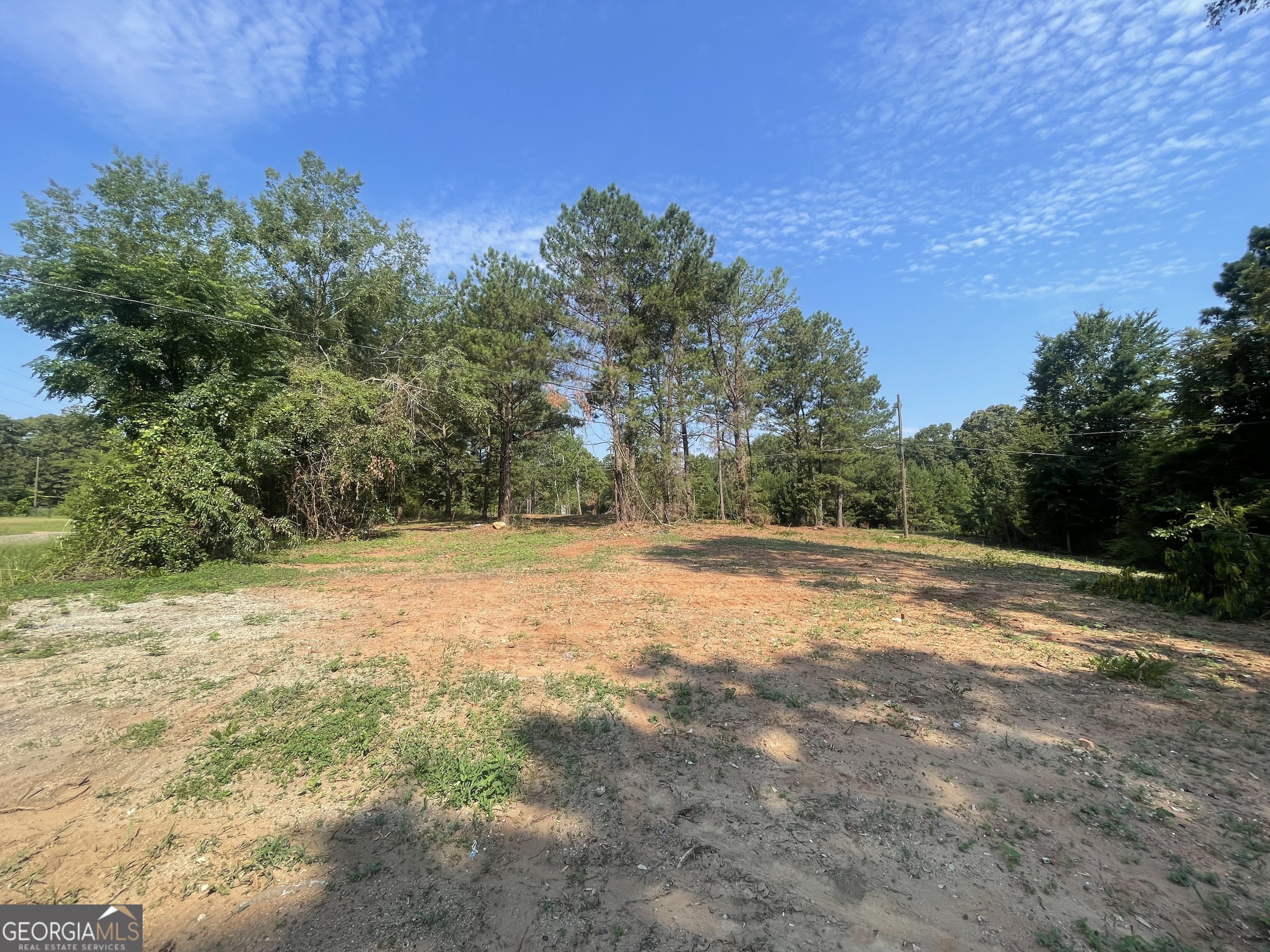 a view of yard with trees