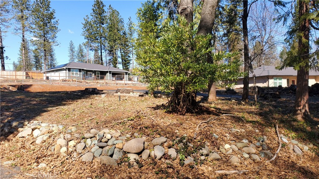 a view of a yard with large trees