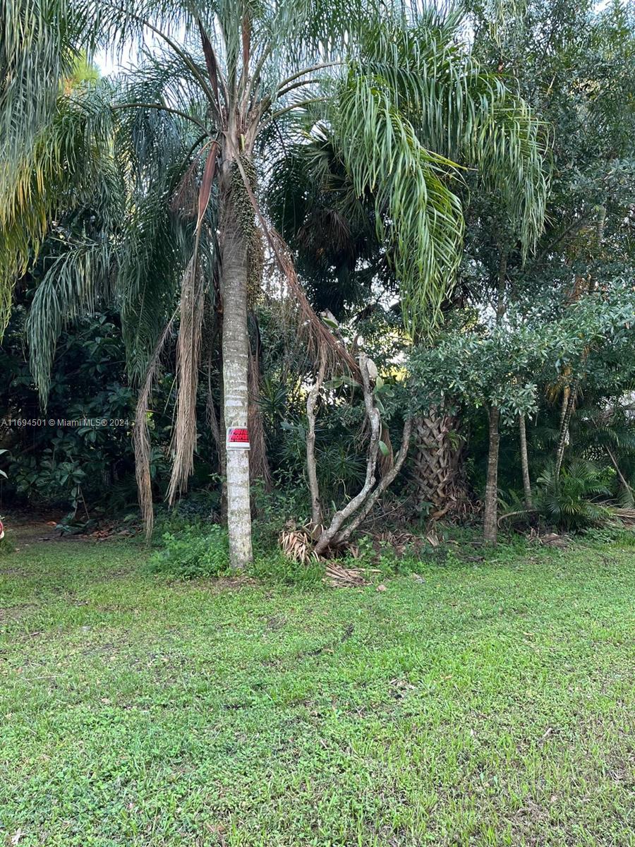 a view of outdoor space and yard