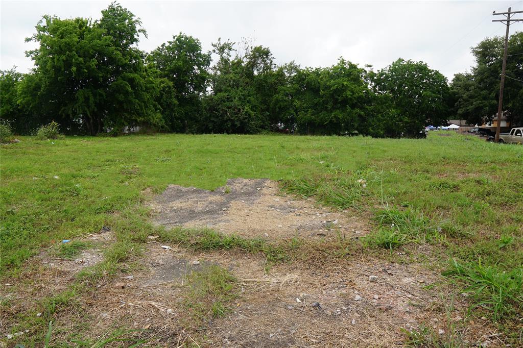 a view of a grassy field with trees in the background