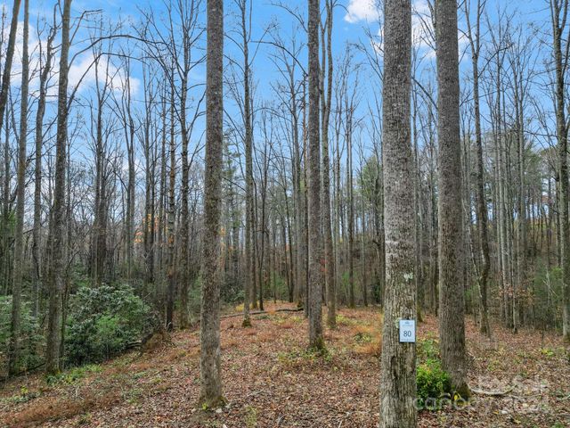 $180,000 | Lot 80 Mountain Grove Lane | Hoopers Creek Township - Henderson County