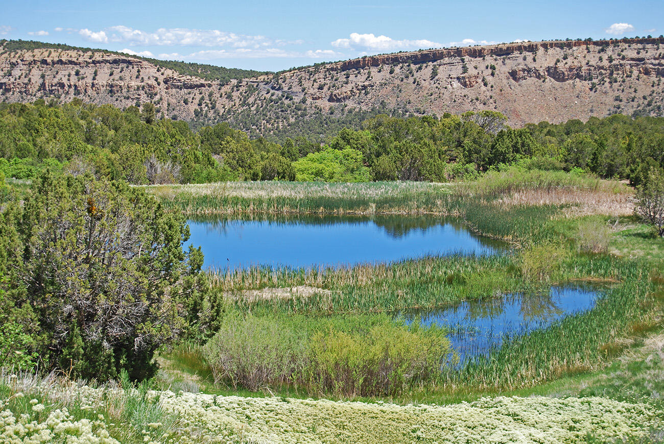 a view of a lake with a big yard