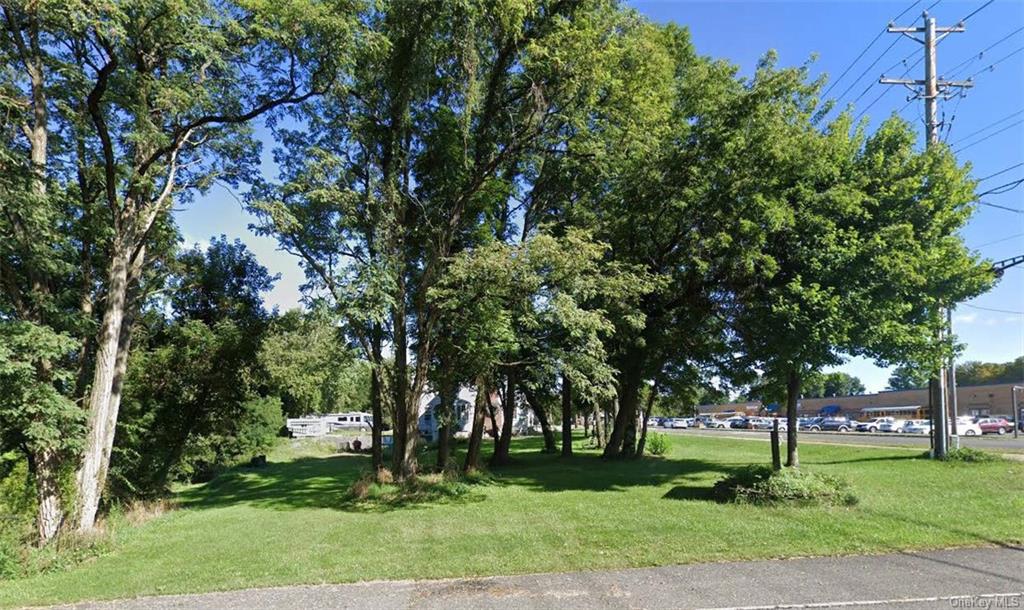 a view of a park with large trees