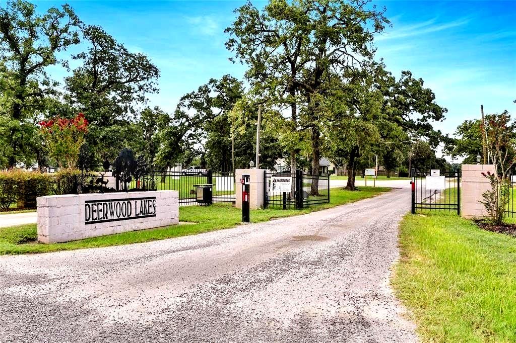 a view of park with large trees