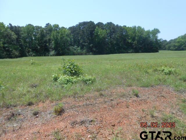 a view of a field with trees in the background