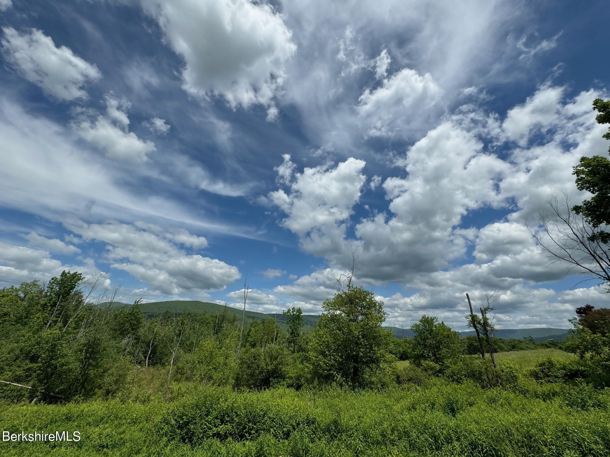 a view of a lot of trees and buildings