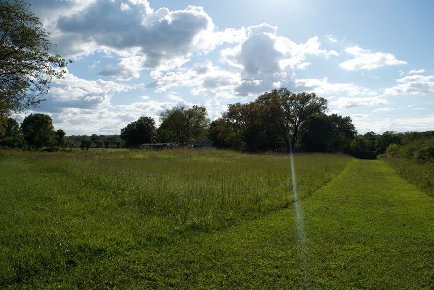 a view of a field and entertaining space