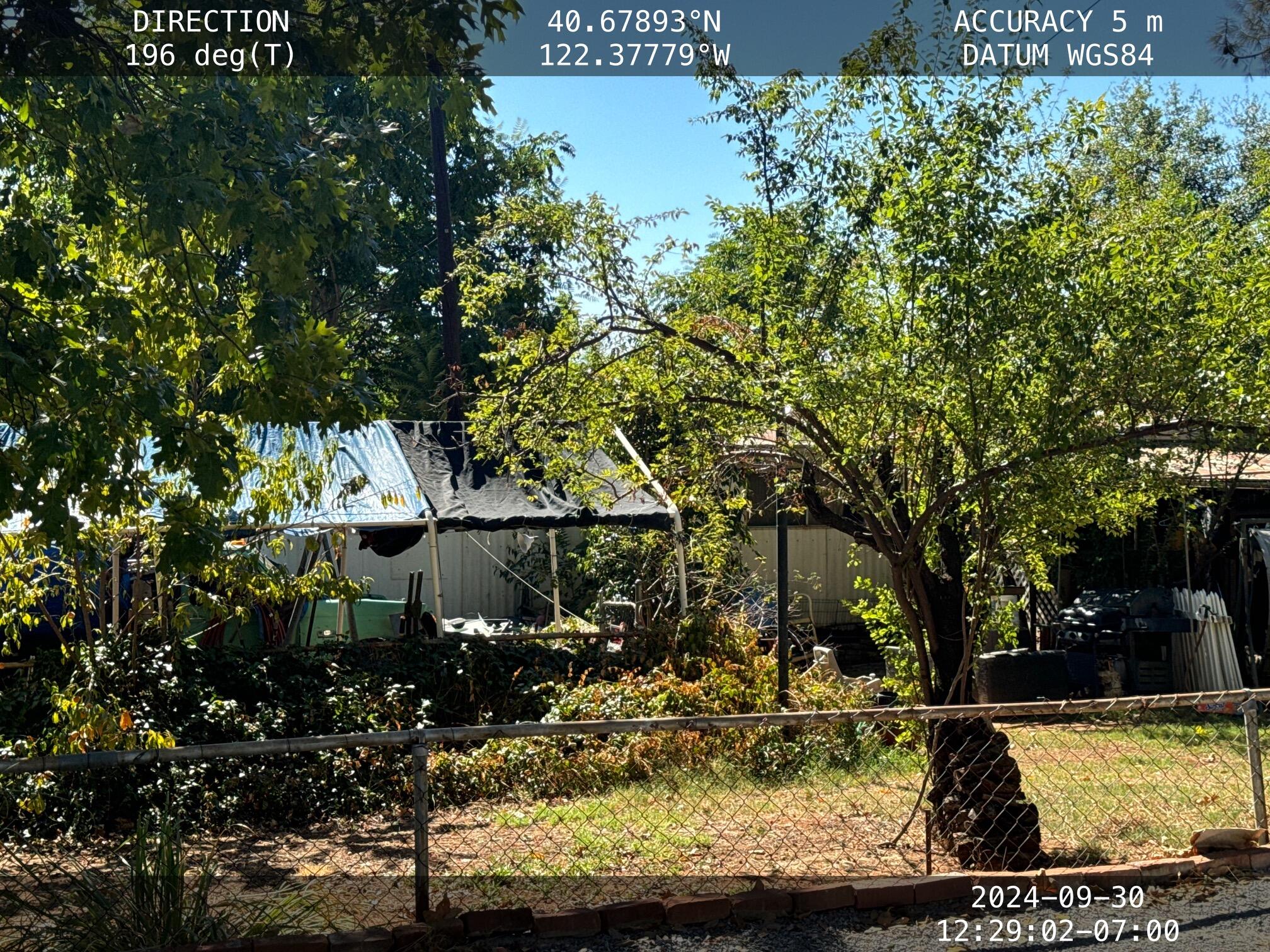 a view of a yard with plants