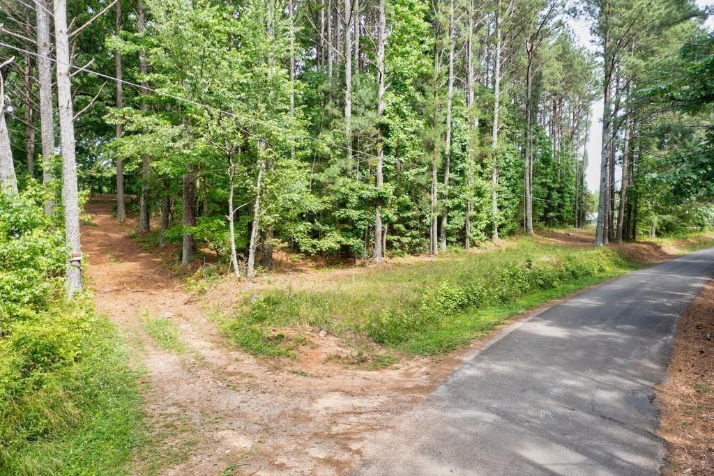 a view of a trees with a yard