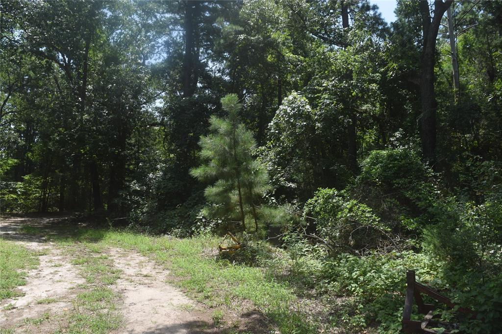 a view of outdoor space and trees