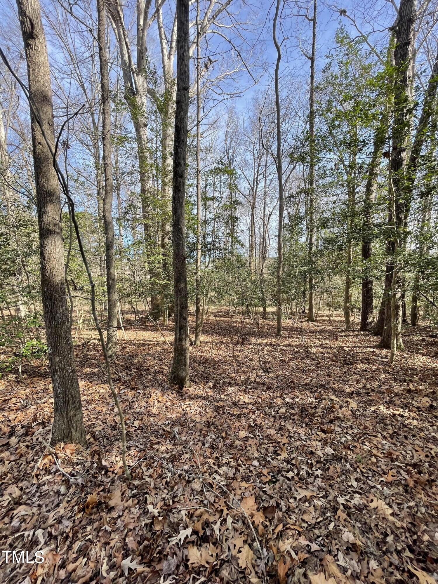 a view of outdoor space with lots of trees