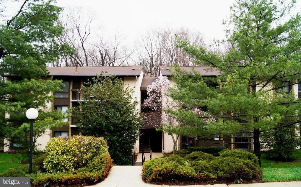 a view of a garden with plants