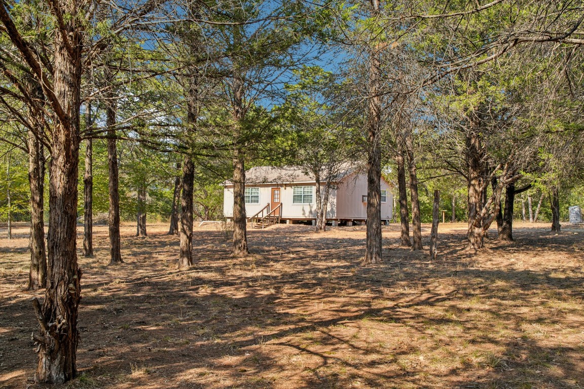 a view of a yard with a tree