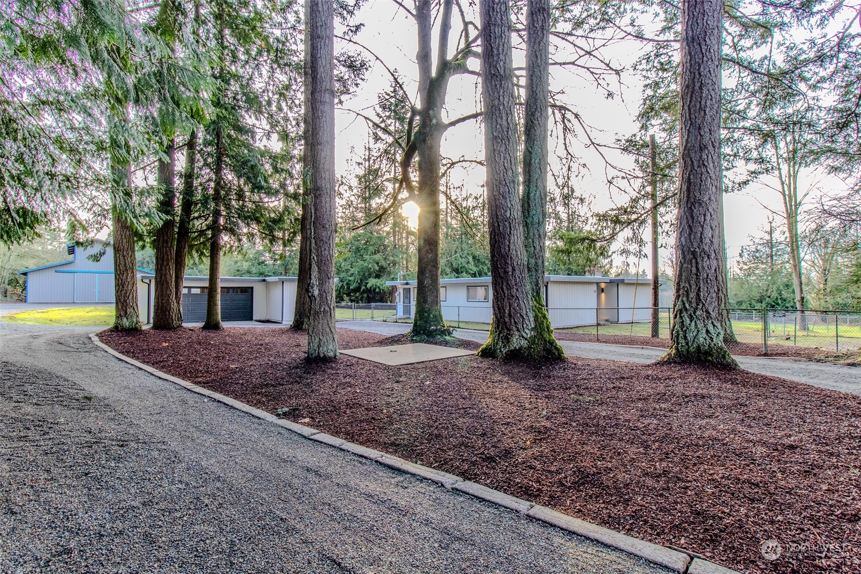 a view of a house with trees and a tree