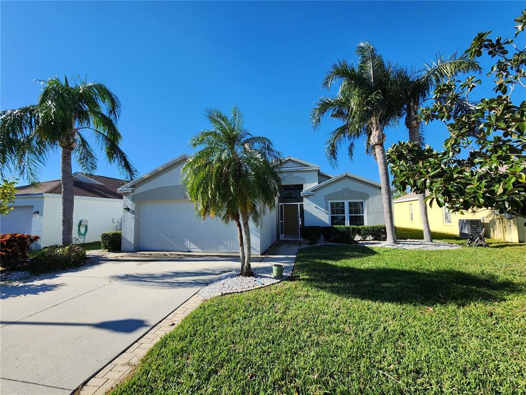 a view of a backyard with a garden and palm trees