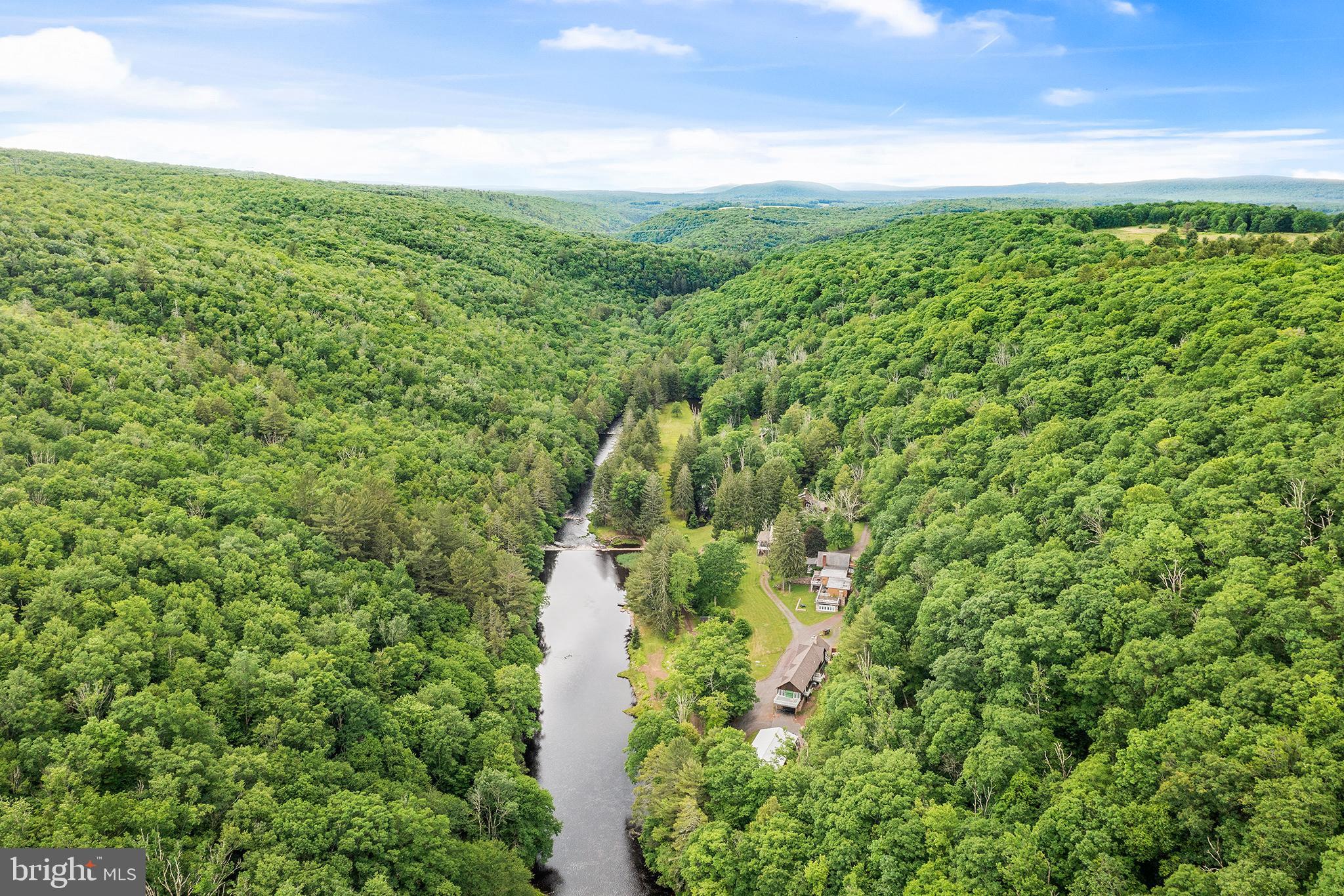 a view of a lush green forest with lots of trees