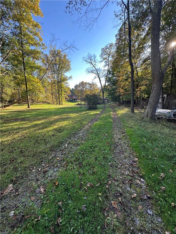 a view of a field with large trees