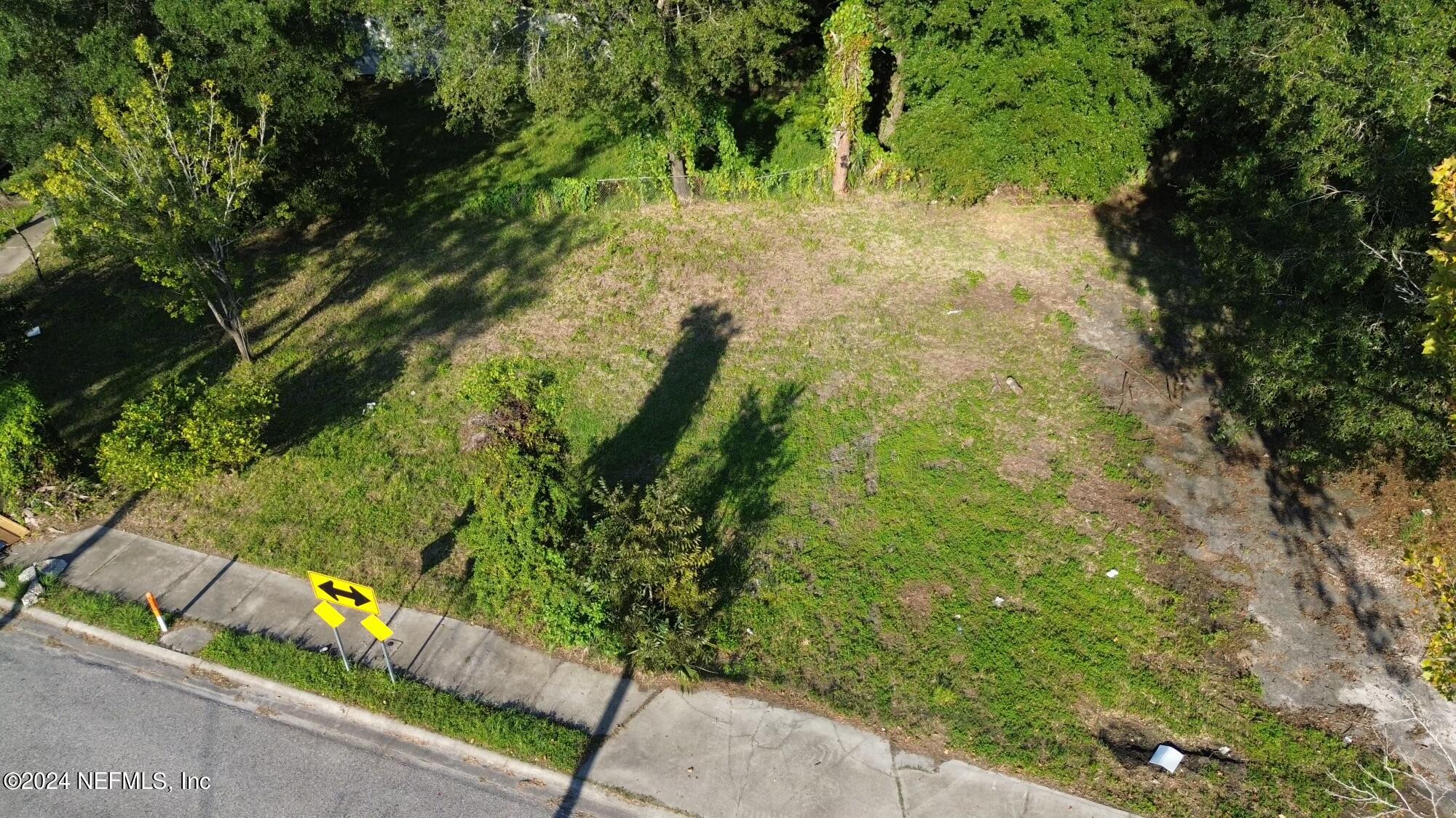 a view of a yard with plants