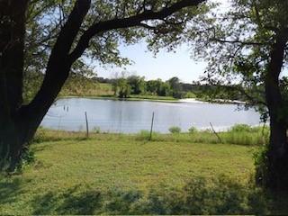 a view of a lake from a yard