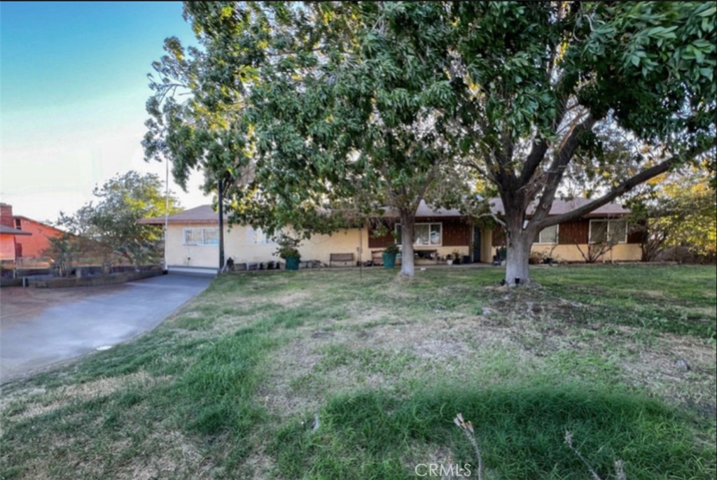 a view of a yard with a house and a tree