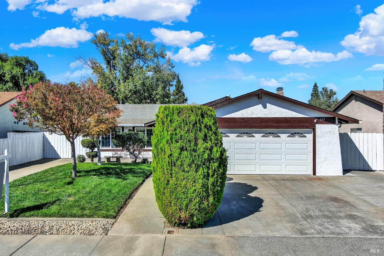 a view of a house with a small yard and a large tree