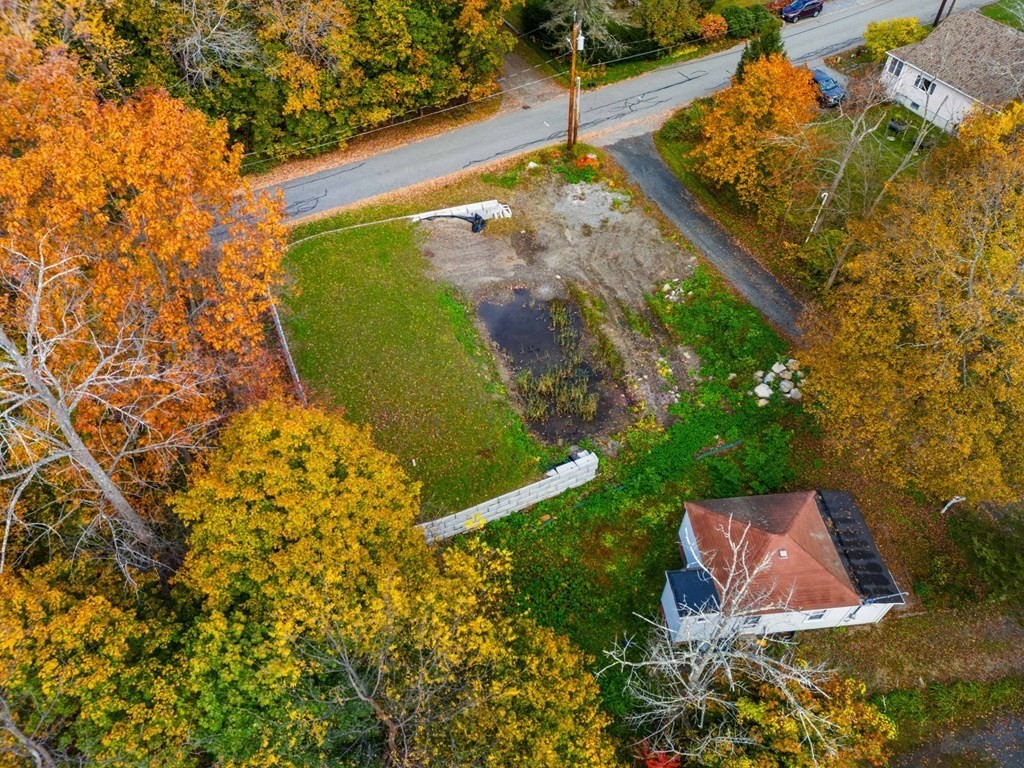 a view of a yard