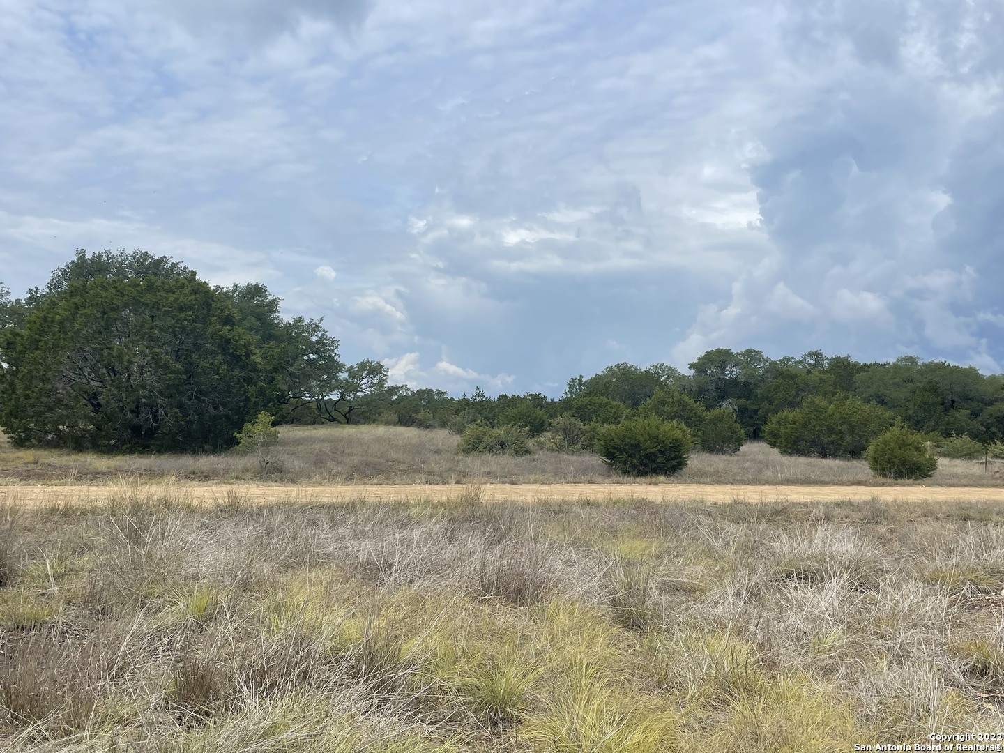 a view of a field with trees in background