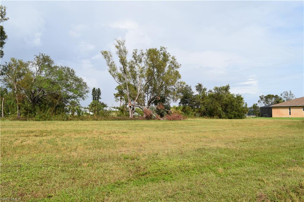 a view of a field with an trees in front of it