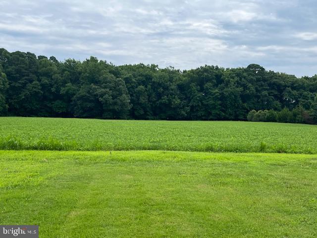 a view of a grassy field