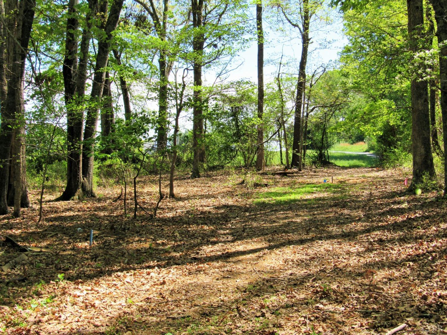 a view of a tree with a yard