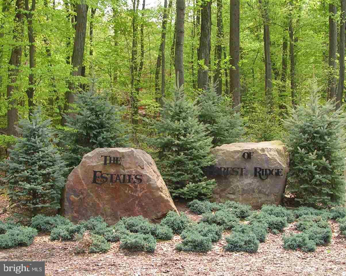 a view of a plants of the house