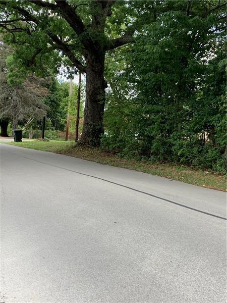 a view of a yard with a tree