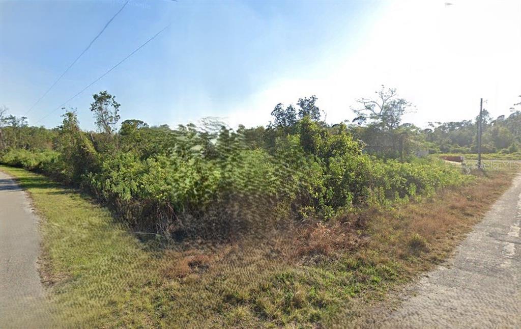 a view of a yard with a tree