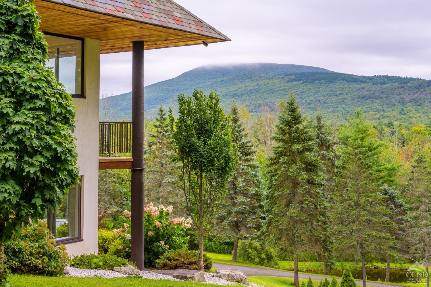 a view of a yard front of house