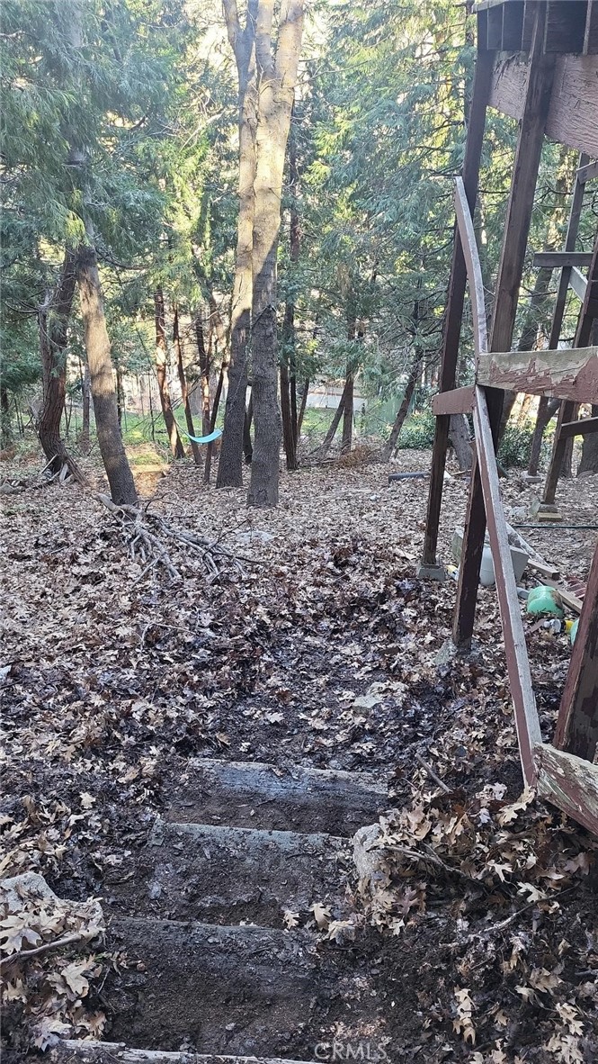 a view of a yard with a tree