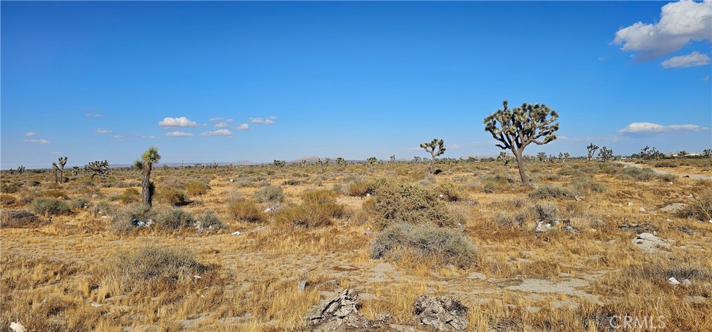 a view of a dry space with wooden fence