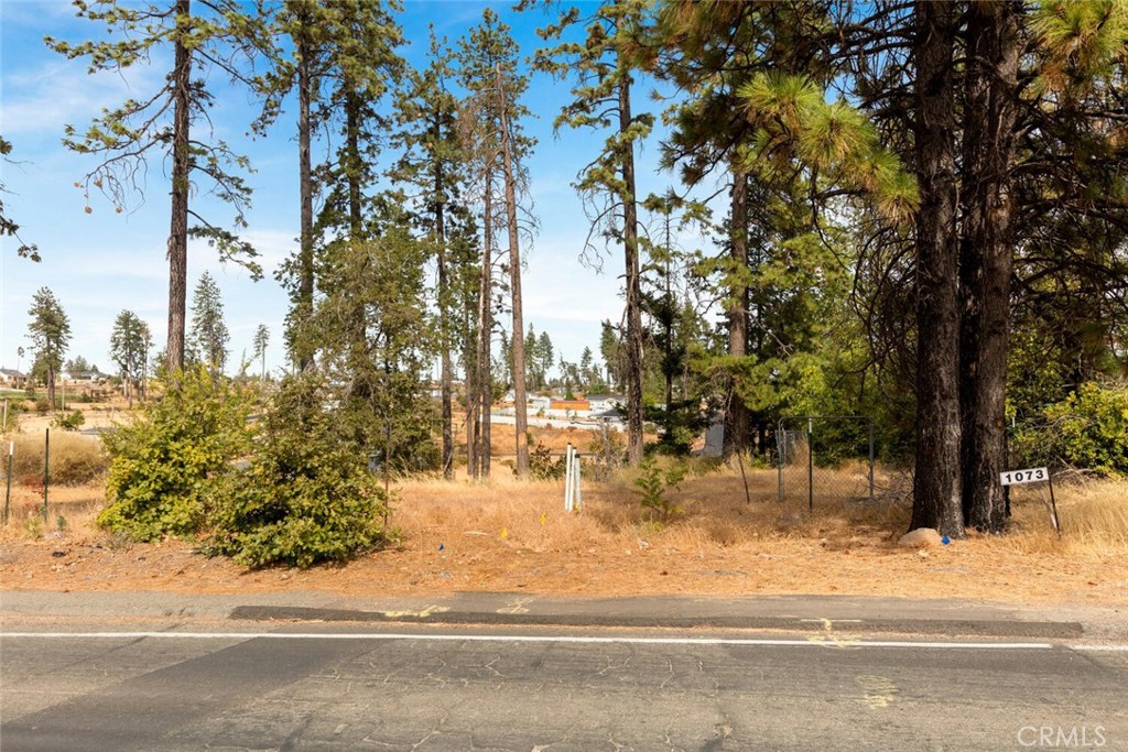 a view of a yard with a tree