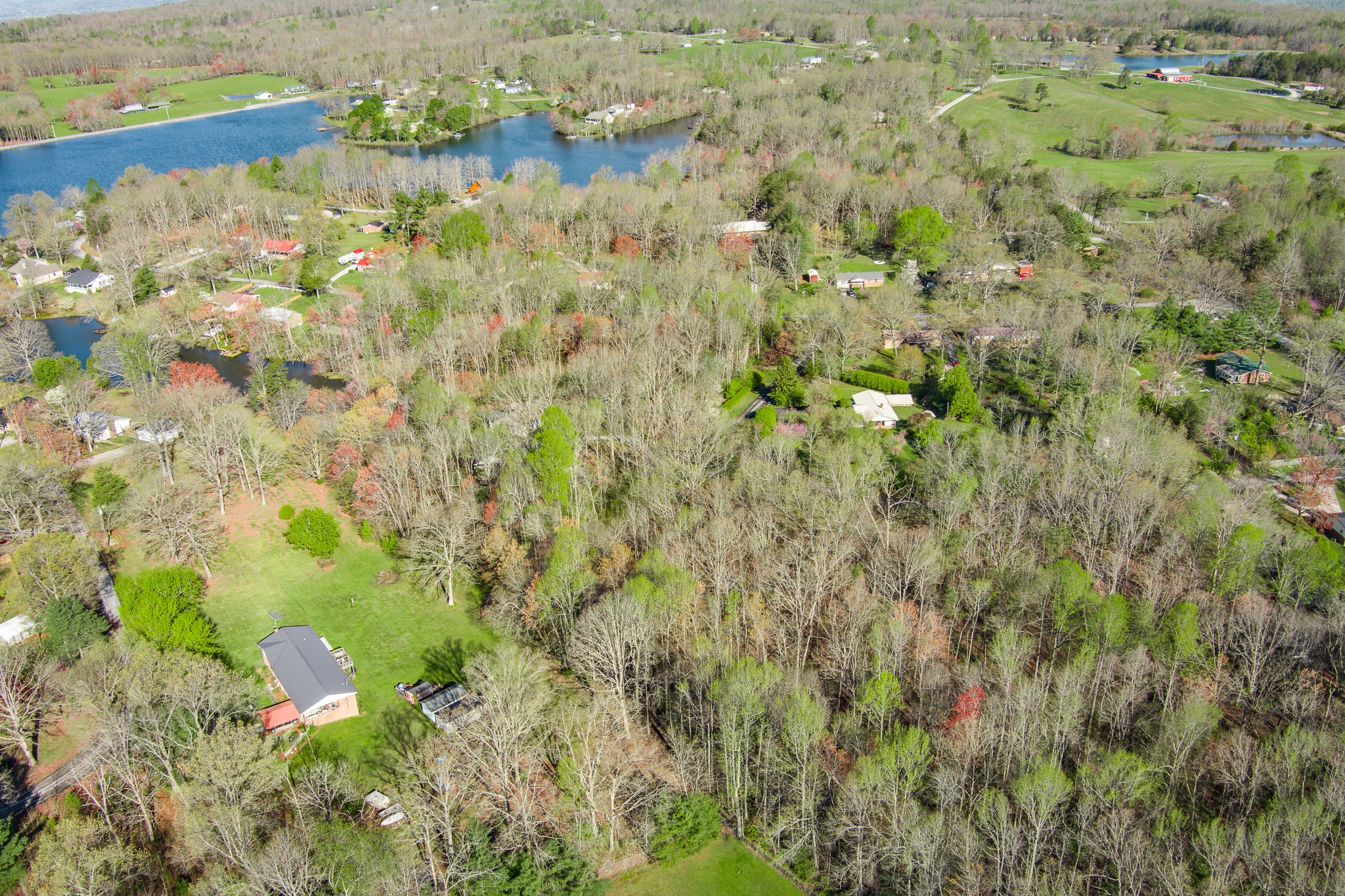 a view of a yard with trees