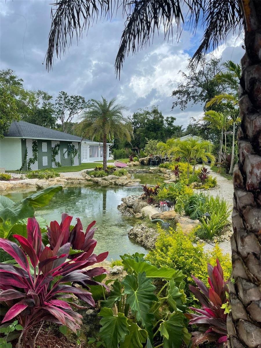 a view of a lake with a palm tree