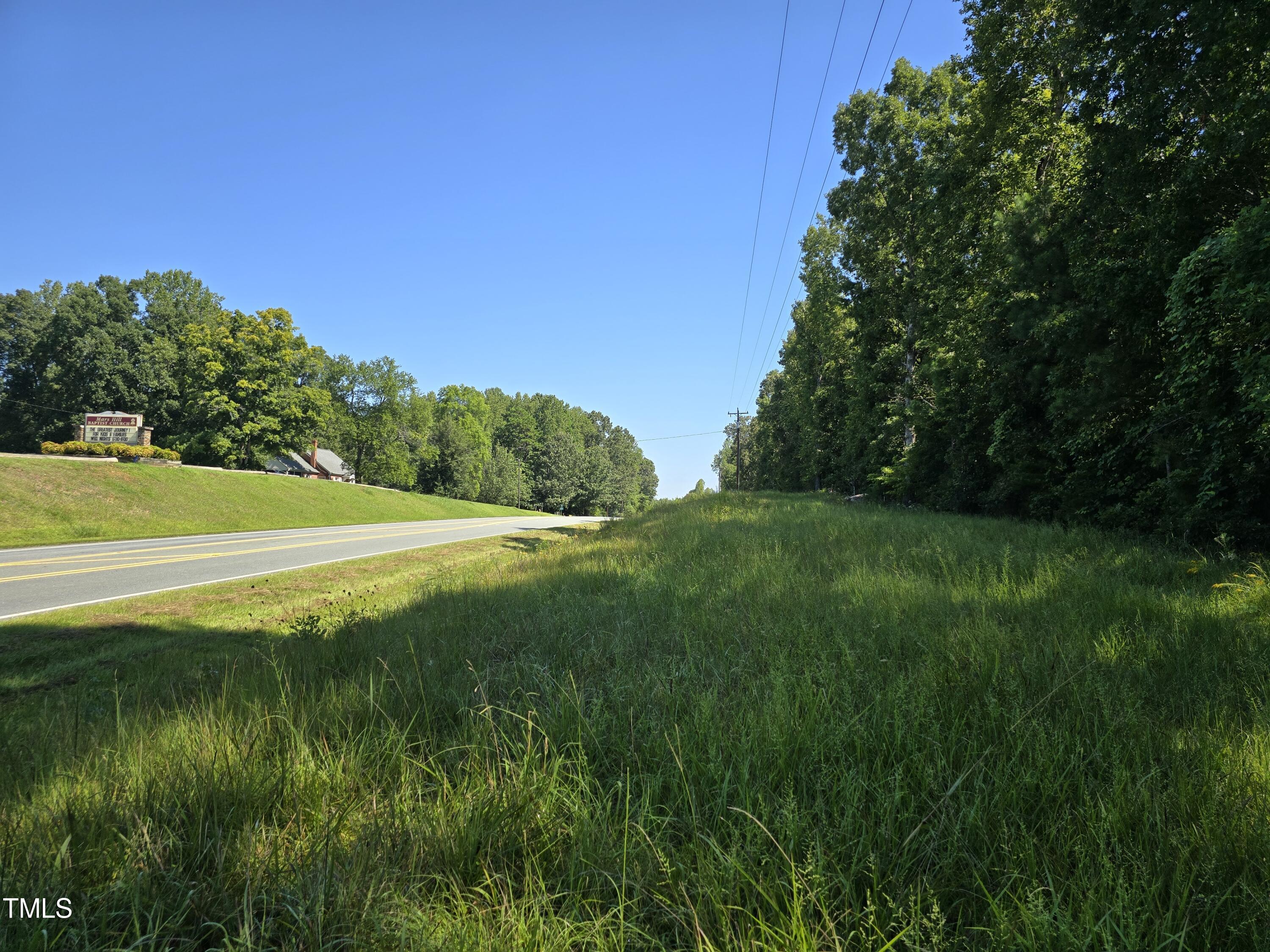 a view of field with tall trees