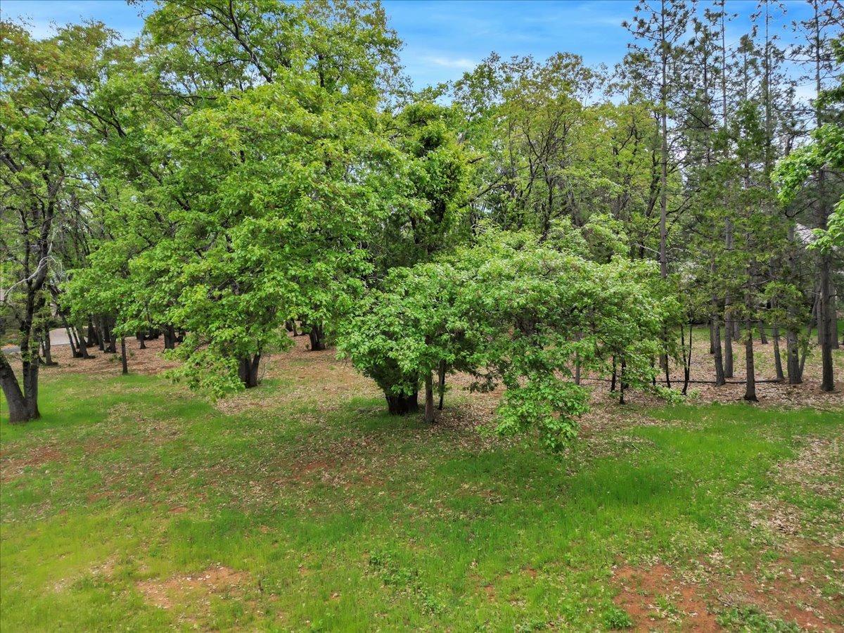 a view of yard with green space