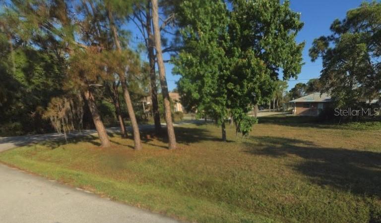 a view of a trees with yard