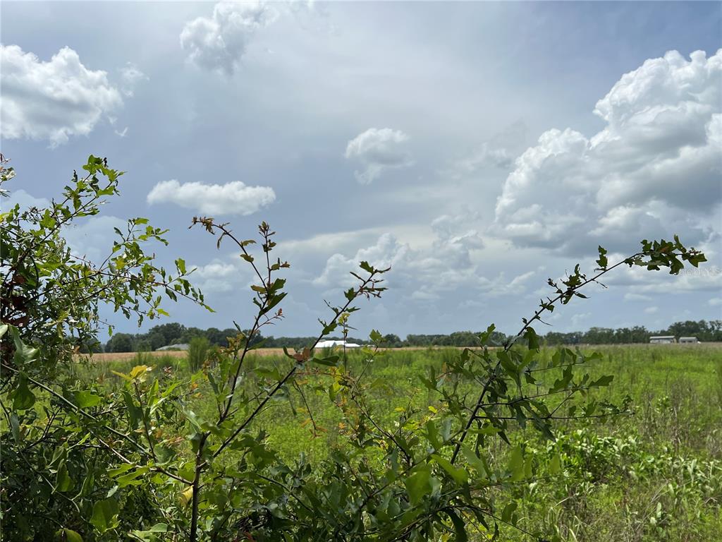 a view of a lake