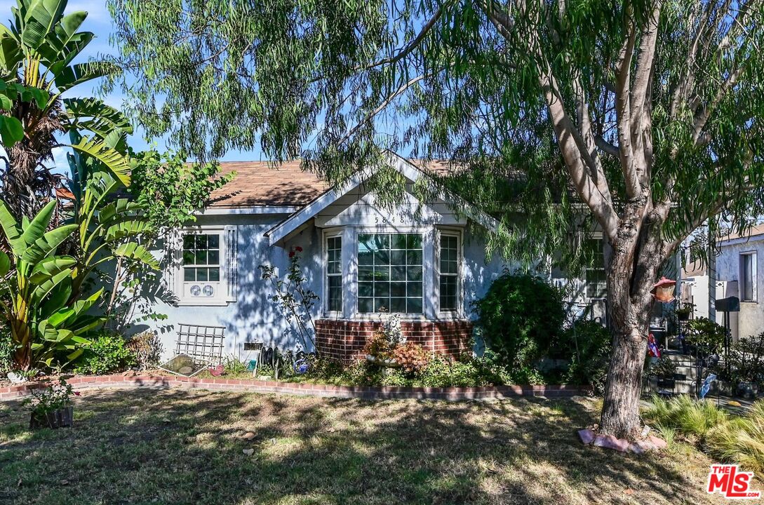 a house with a tree in front of it