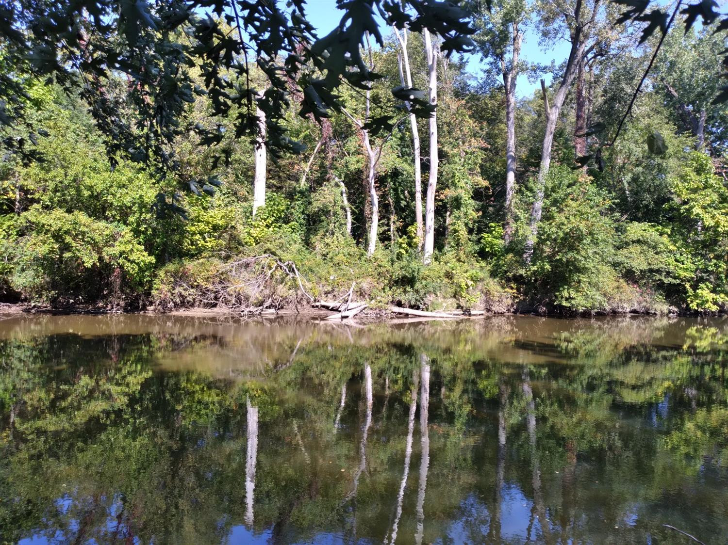 a view of lake